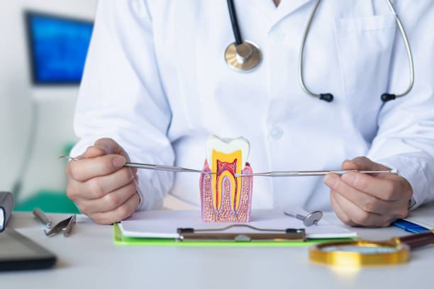 Best Emergency Dental Extractions in Lebanon, VA